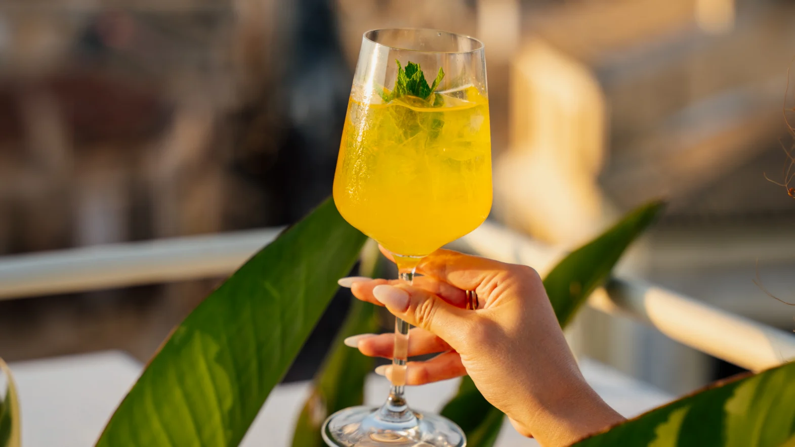 COCKTAILS